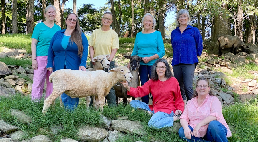 Meet Solitude Wool: Breed-Specific Yarn and Fiber Image