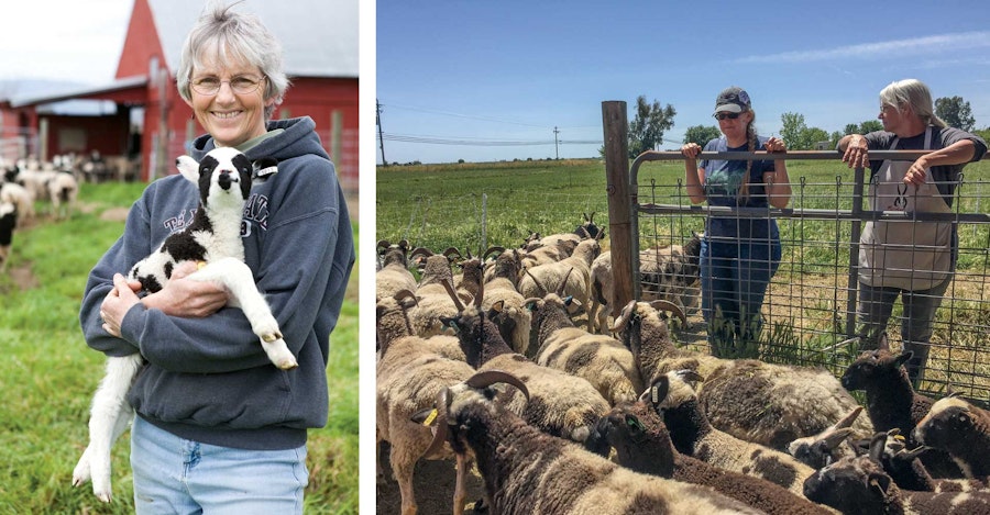 Join the (Farm) Club Image