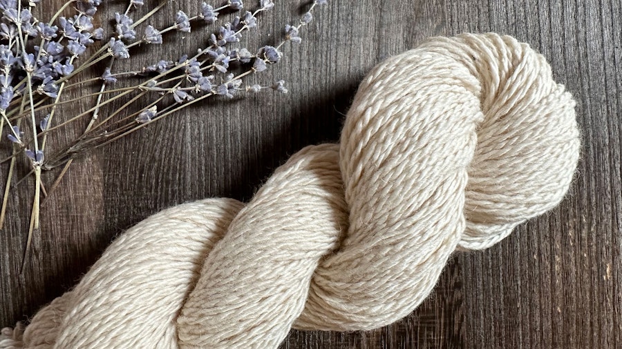 That Time I Brought Home a Little Alpaca Image