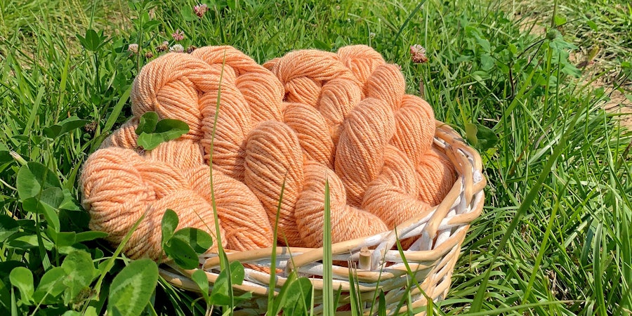 From Alpaca Pasture to Pullover Image