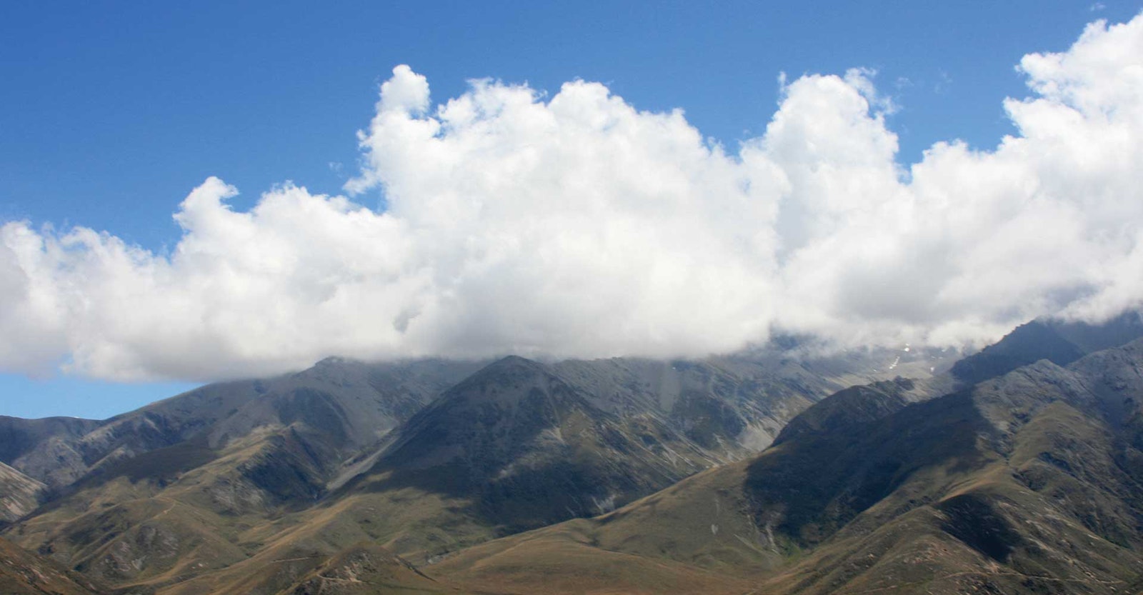 Herding with Helicopters Primary Image