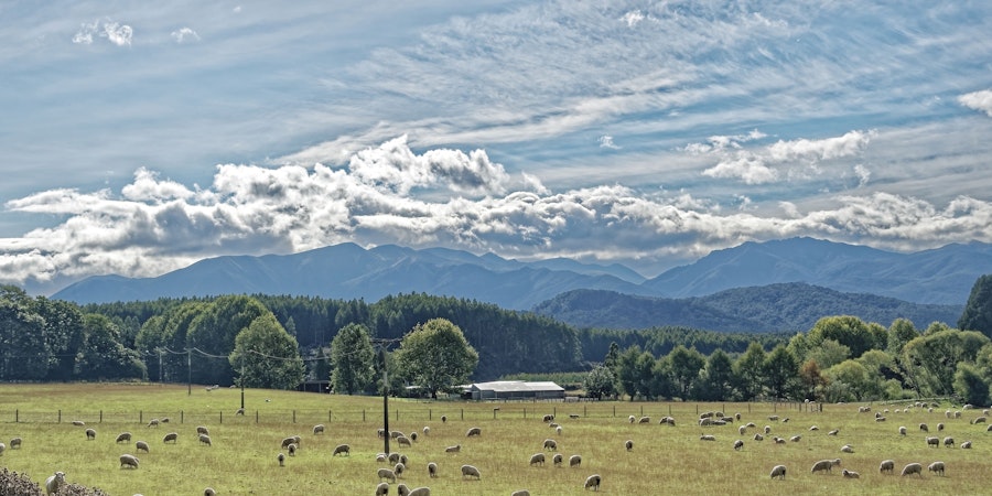 Watch Our Conversation with Elizabeth Nihoniho of Amikihia Knits  Image