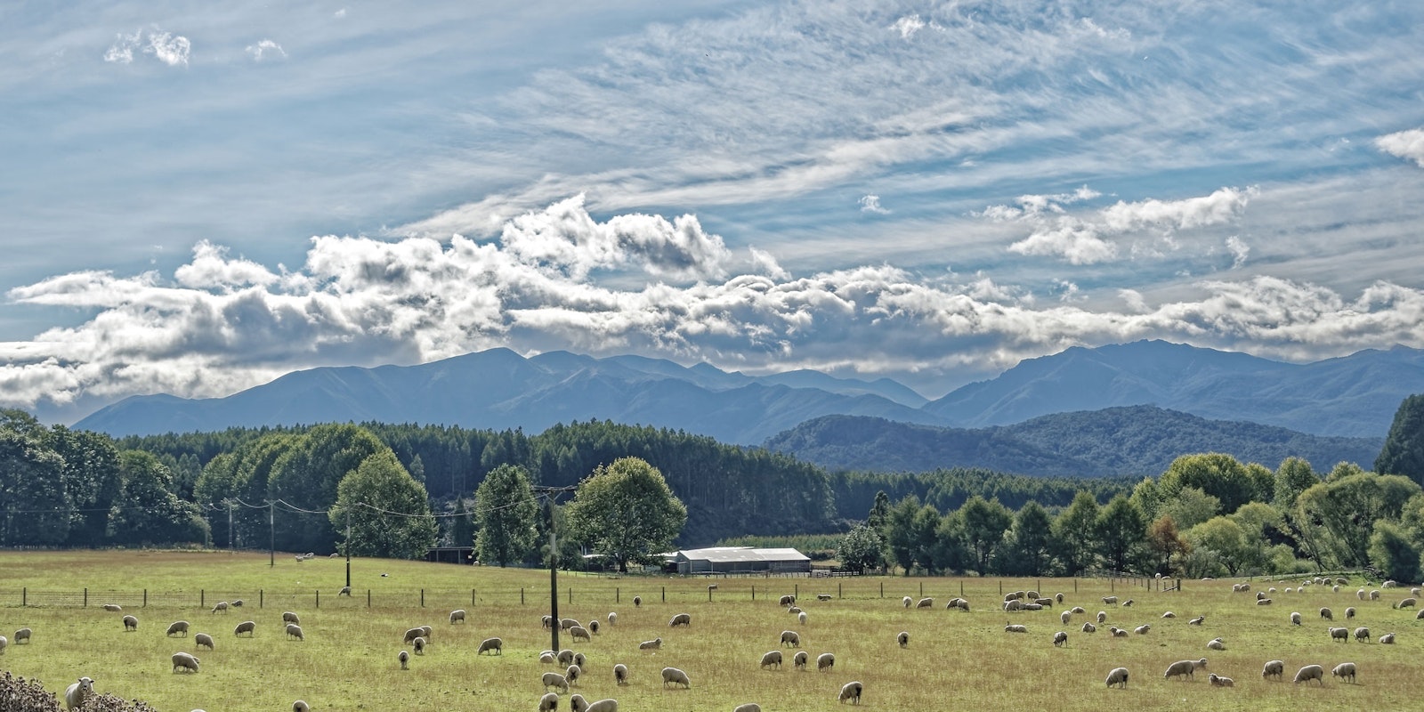 Watch Our Conversation with Elizabeth Nihoniho of Amikihia Knits  Primary Image