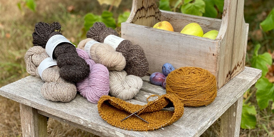 A Knitter’s Guide to Crossbred Wool Yarns Image