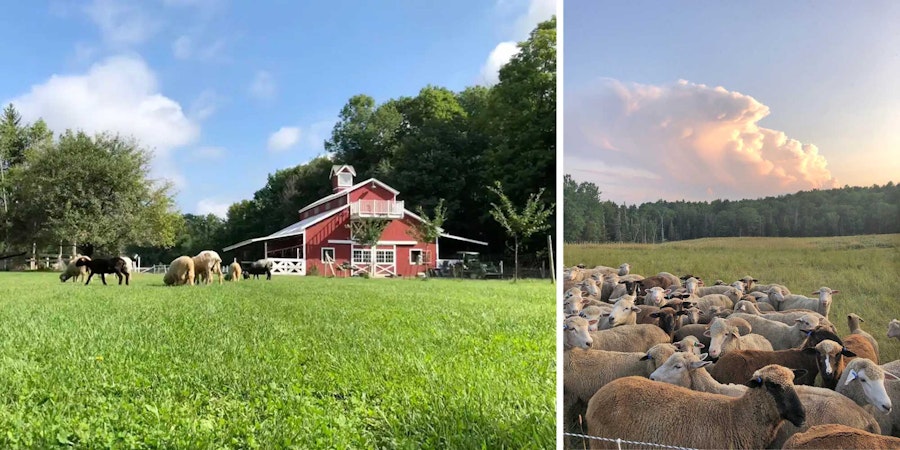 Staying on a Fiber Farm Image