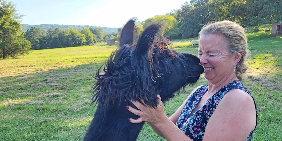 Puddin Ridge Fibers: Rescuing Gentle Creatures and Their Fibers  Image