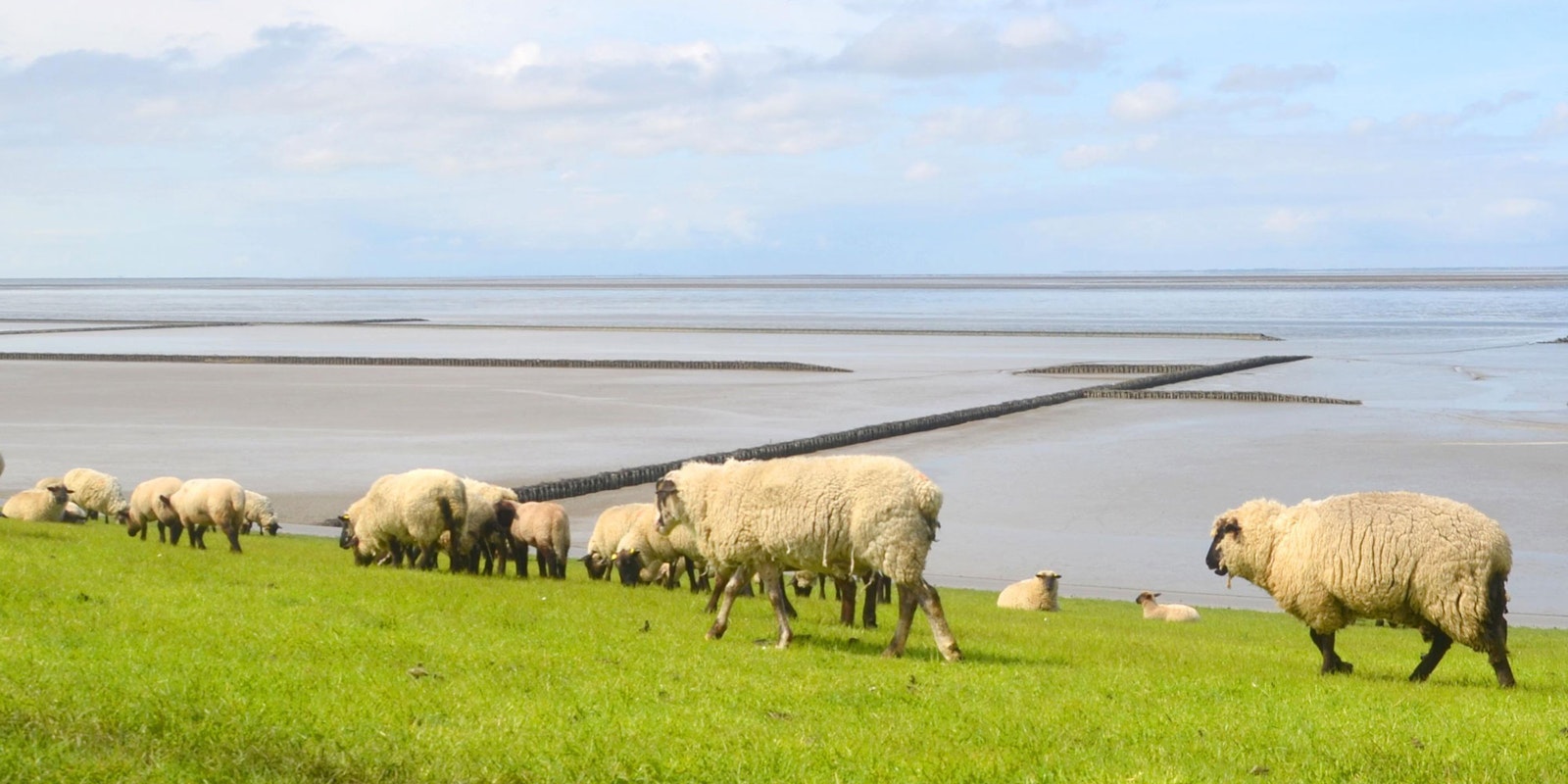 Yarn and Conservation Primary Image