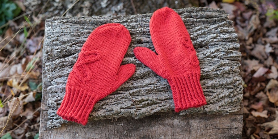 What’s in a Gusset? Image