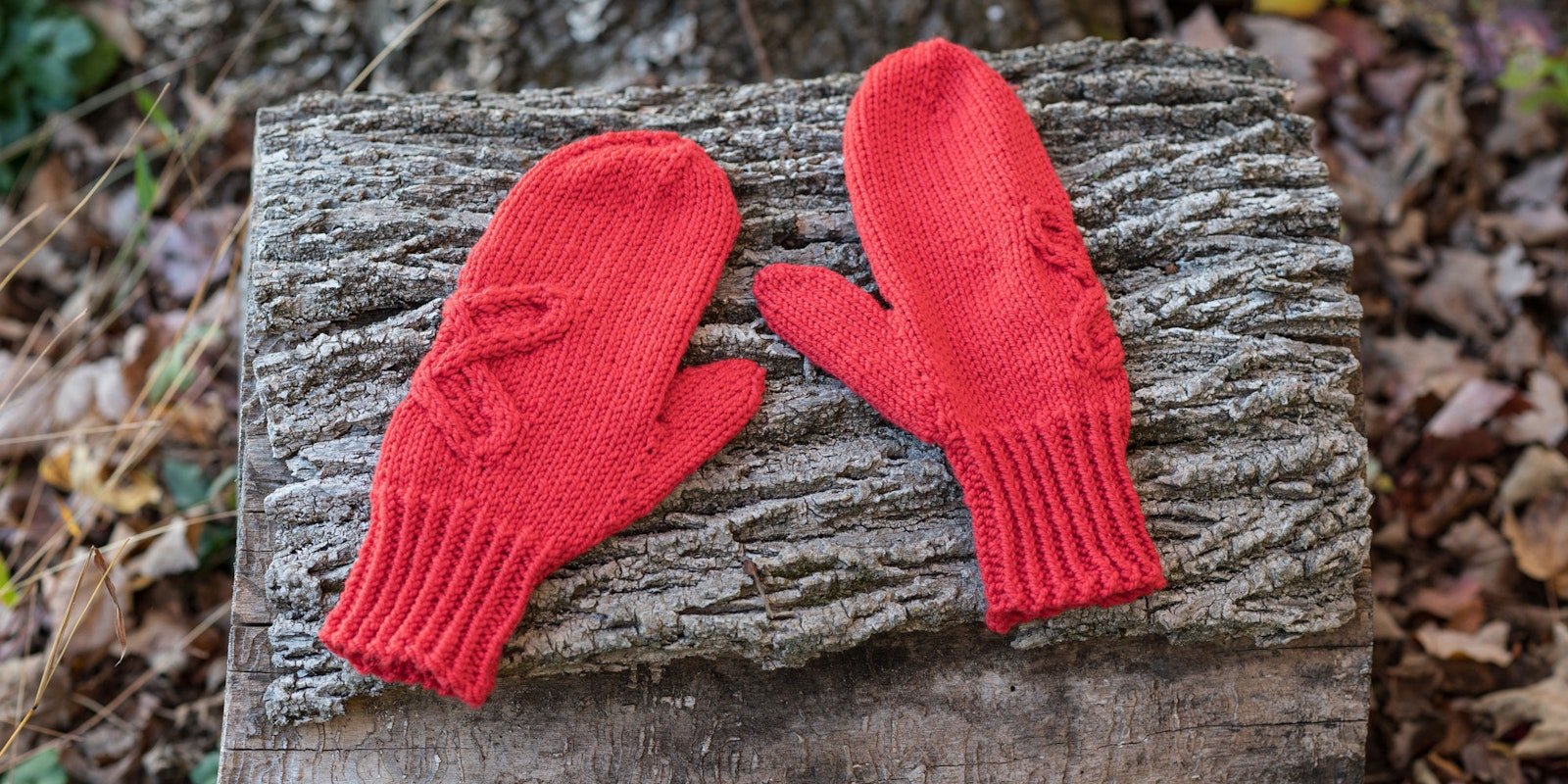 What’s in a Gusset? Primary Image