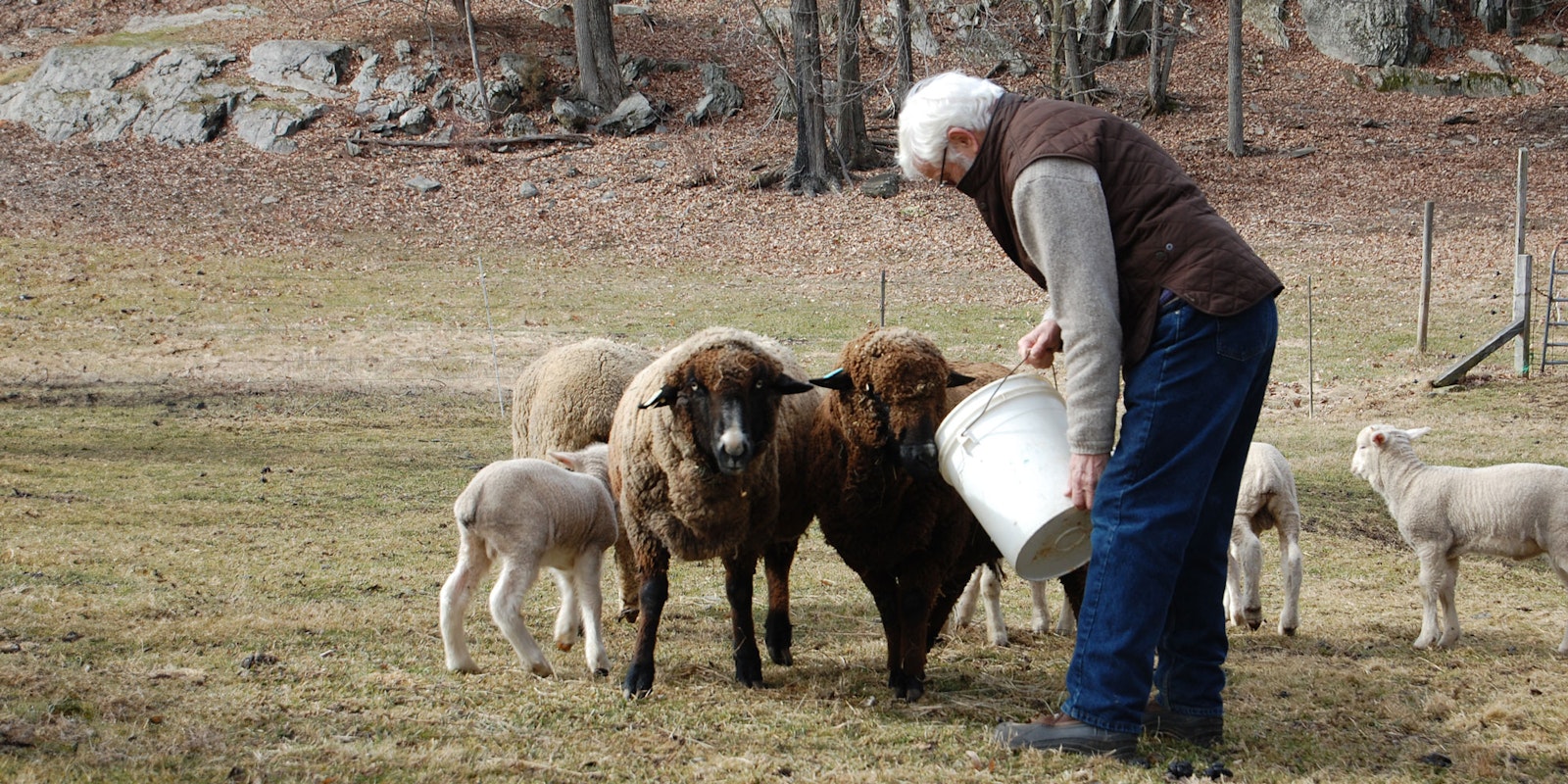 Ensuring the Future at Morehouse Farm Merinos Primary Image