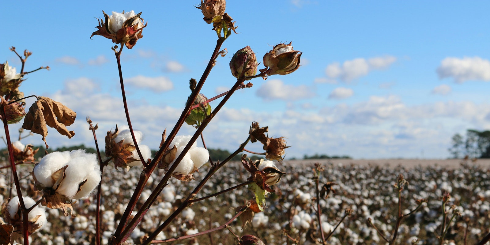 Breezy Knitting with Cotton and Linen Primary Image