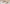What I Wish I’d Known about Plant Fibers Primary Image