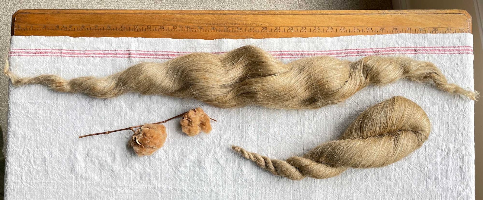 What I Wish I’d Known about Plant Fibers Primary Image