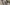 Your Top 5 Favorites from 2024 (and a Bonus!) Primary Image