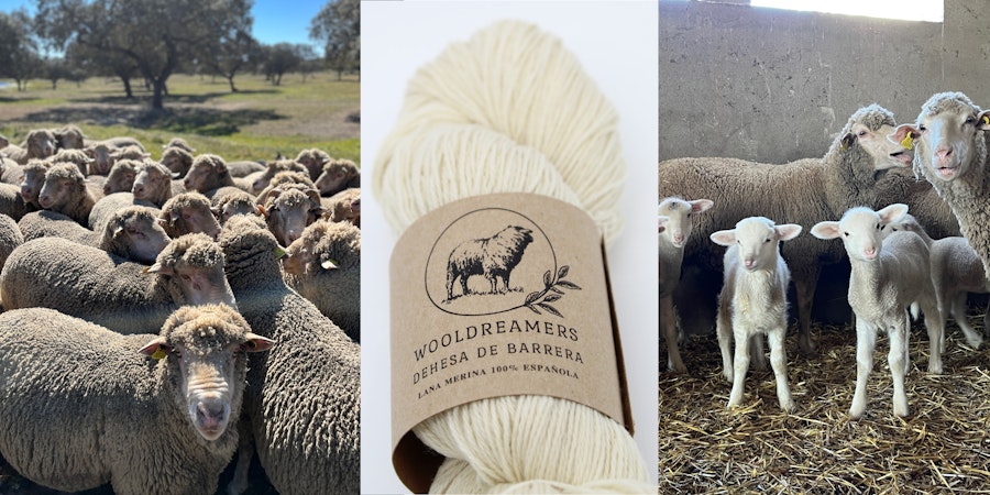 Reinventing Spanish Wool: Meet Wooldreamers Image