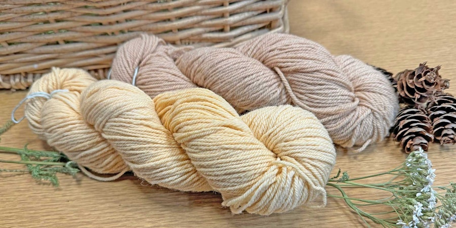 Foraging for Color: Take a Walk with a Montana Dyer Image