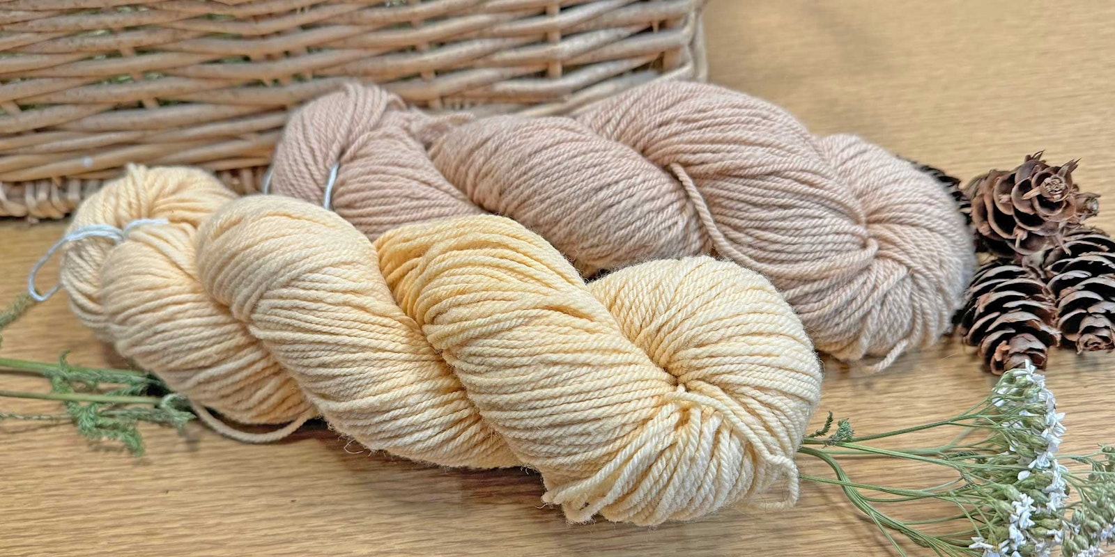 Foraging for Color: Take a Walk with a Montana Dyer Primary Image