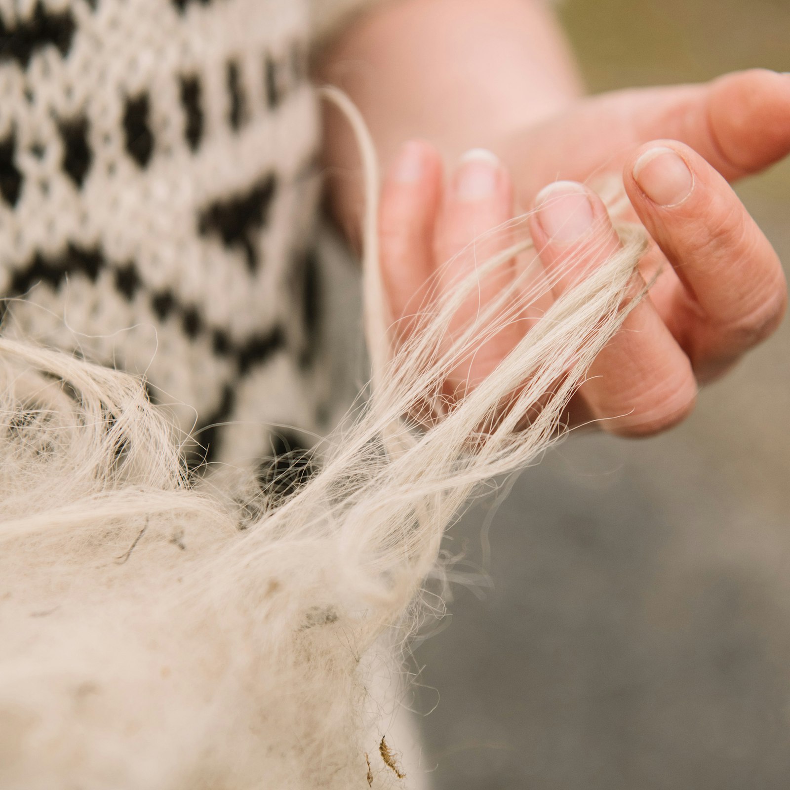 Faroese Wool: What Is It Like to Knit? Primary Image