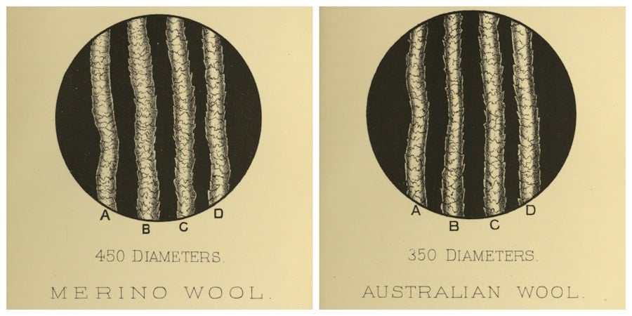 What is the Superwash Process, and What Does It Do to Wool? Image