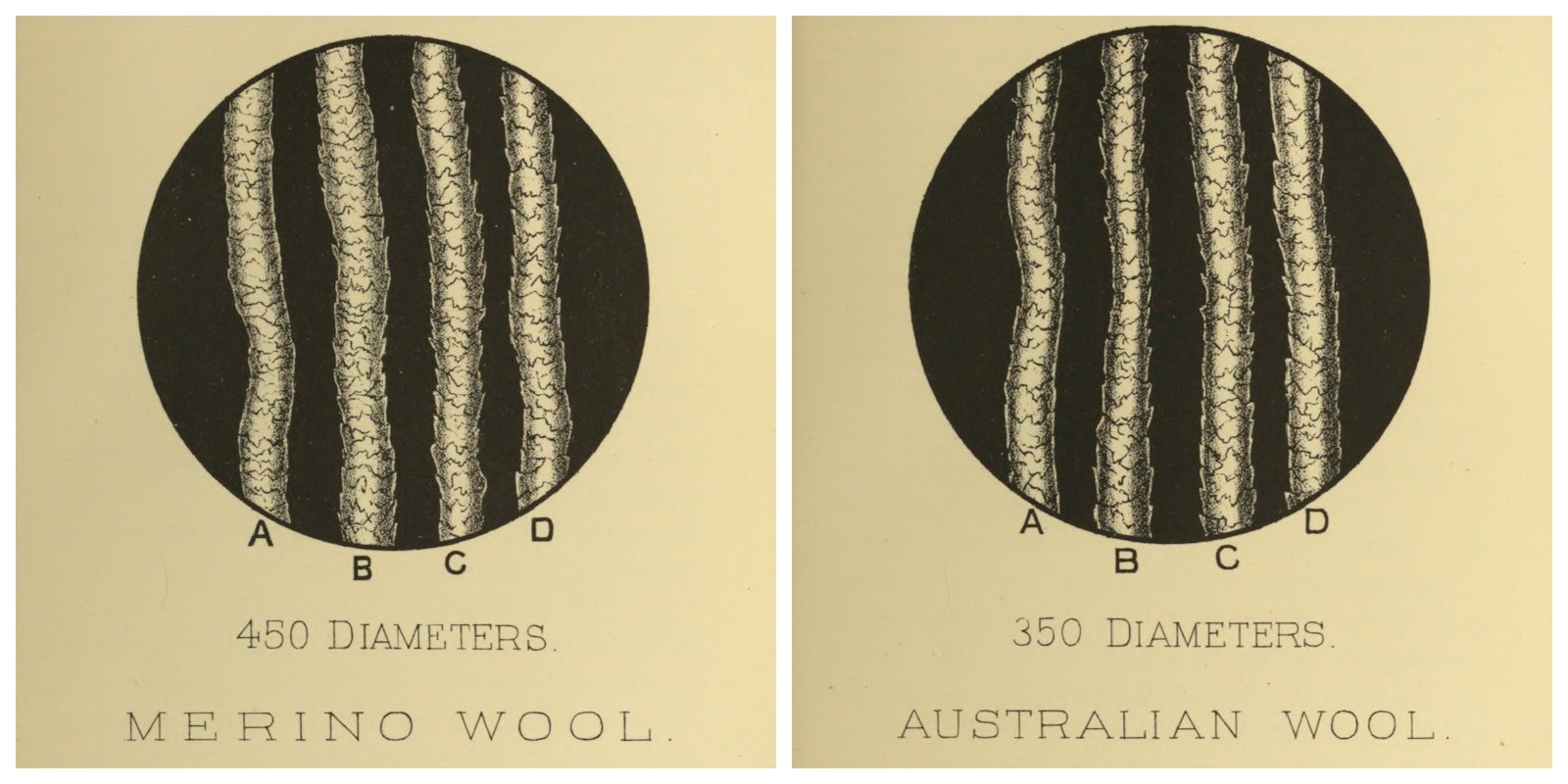 What is the Superwash Process, and What Does It Do to Wool? Primary Image