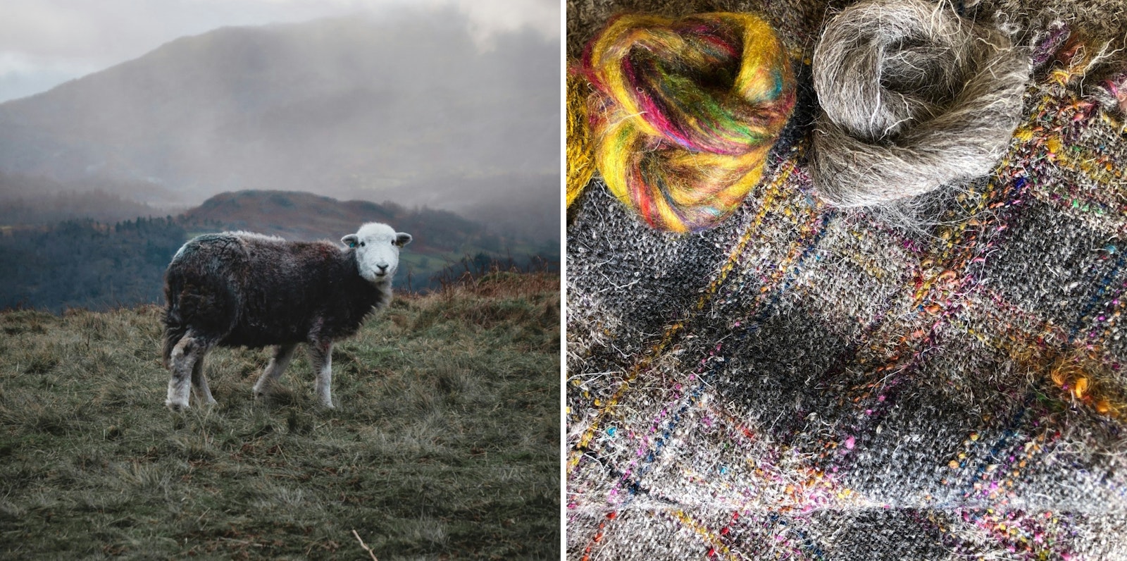 Understanding the Prickle Factor  Primary Image