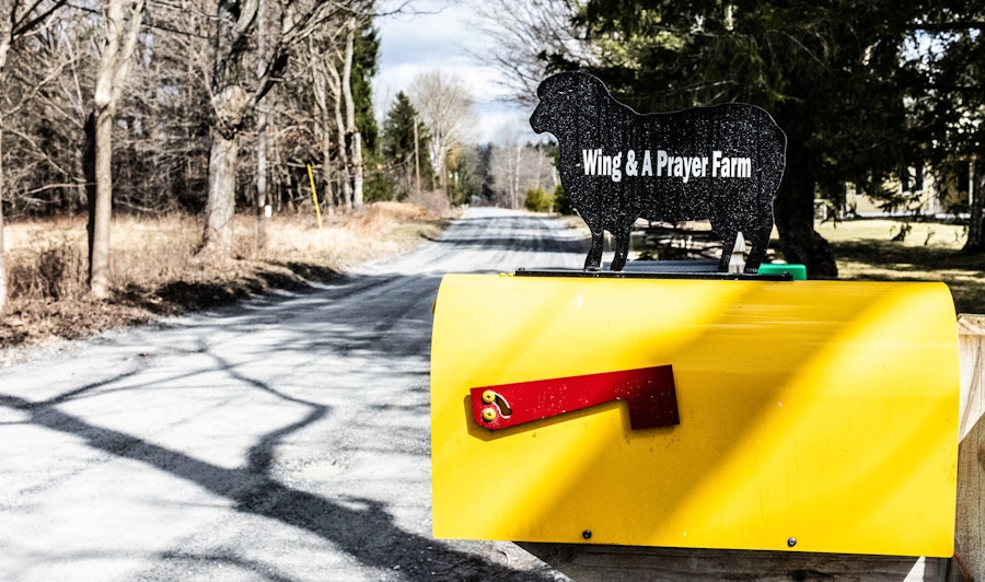 Where Your Yarn Grows Image