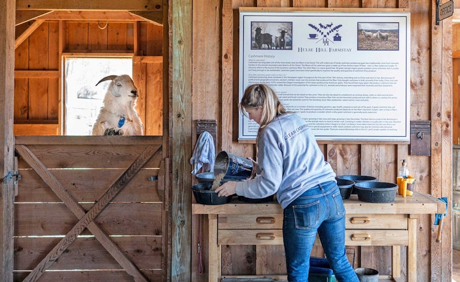 Clean Cashmere Has Big Plans for Small Farms Image