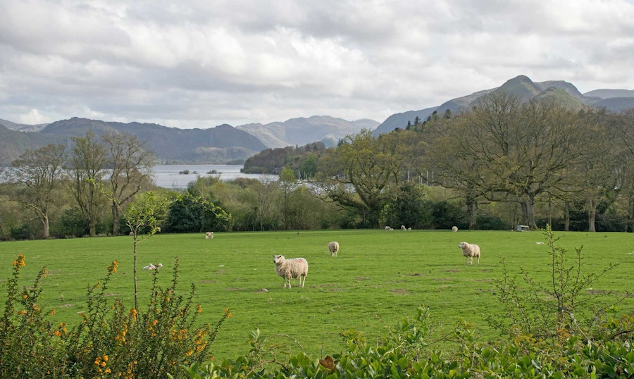 Do You Know Where Your Wool Comes From? Image