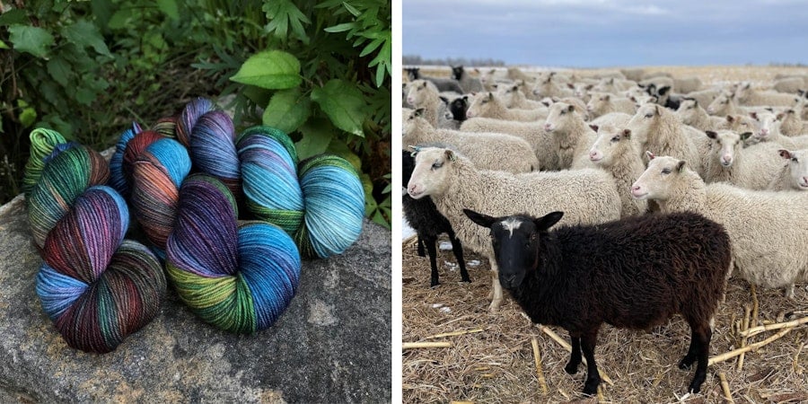 A Breed Apart: Ancient Arts and Heritage Wool Image