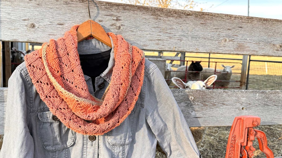 Knitting with Sheep (and a Cowl Pattern) Image