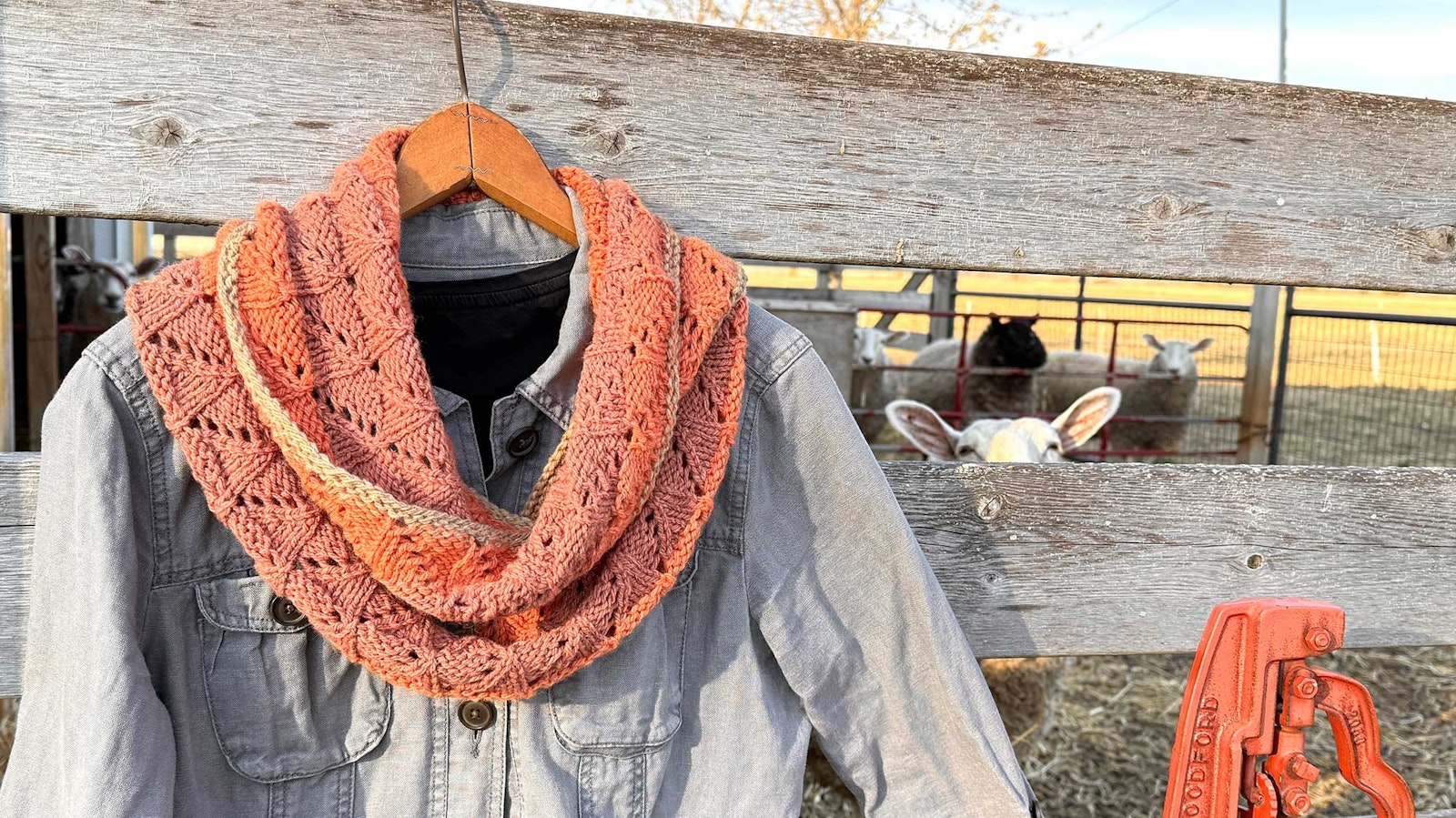 Knitting with Sheep (and a Cowl Pattern) Primary Image