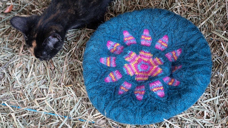 Illuminate Your Wardrobe with the Notre-Dame Tam Image