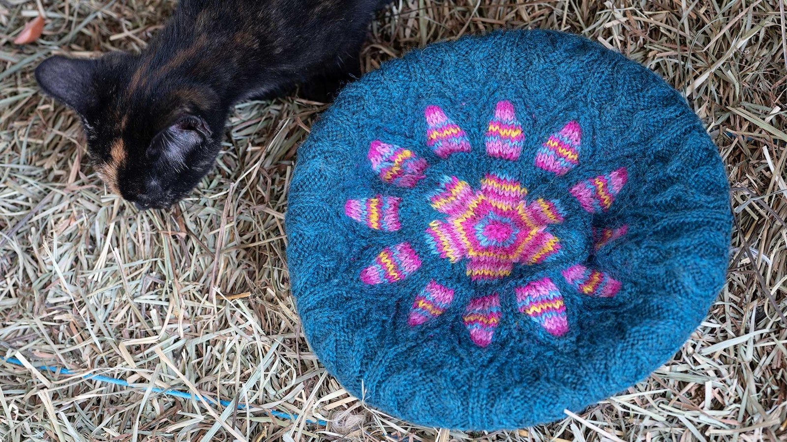 Illuminate Your Wardrobe with the Notre-Dame Tam Primary Image