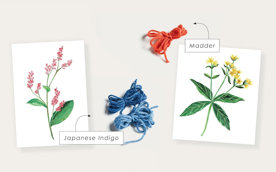 A Knitter’s Guide to Dye Plants Image