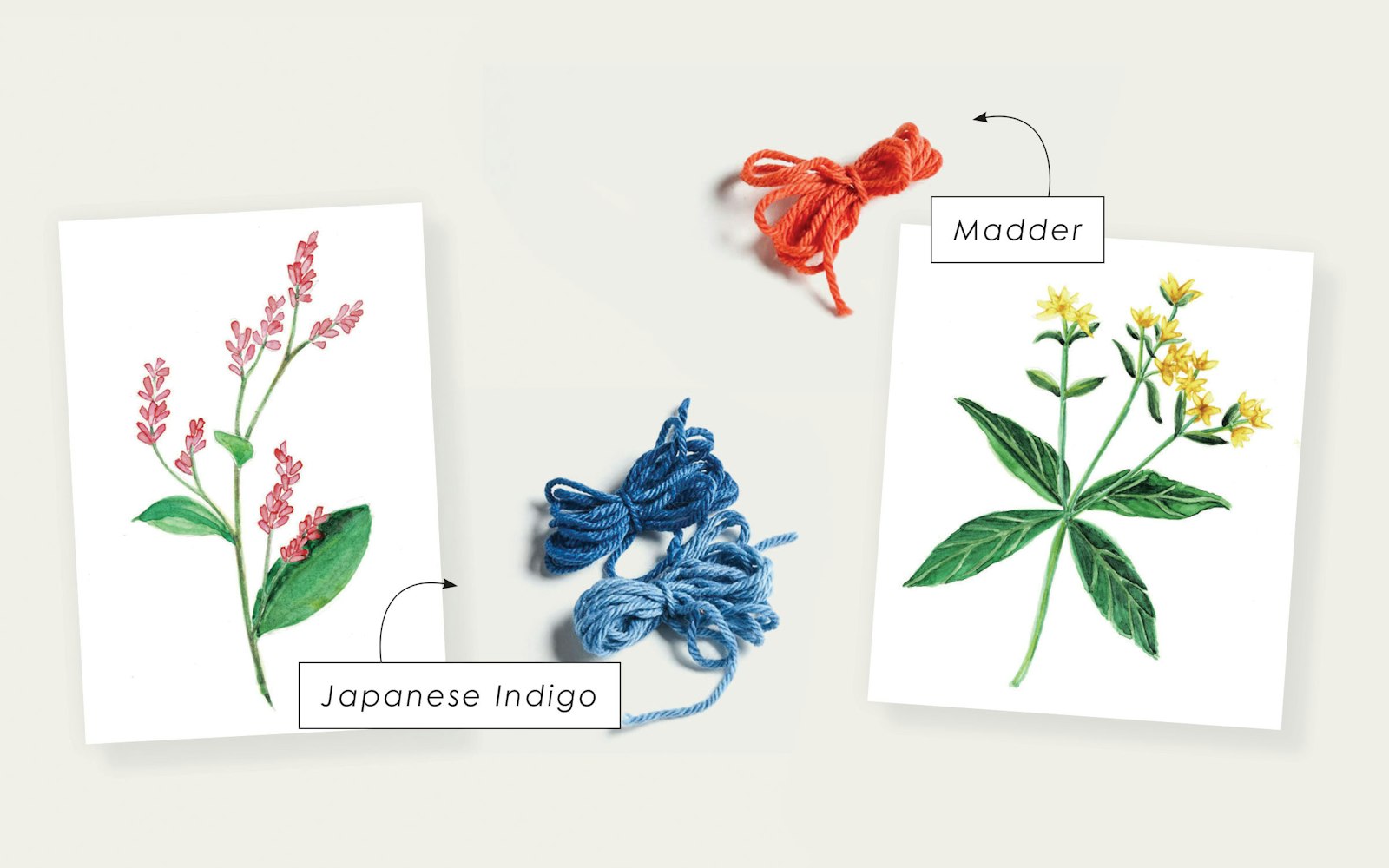 A Knitter’s Guide to Dye Plants Primary Image