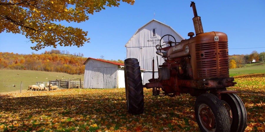 The Exceptional Fibers of Ross Farm: Meet Rare-Breed Champion Amy Ross Manko Image