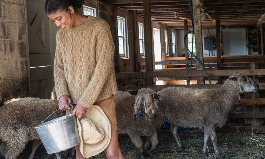 On Location: A Model and a Donkey Walk into a Barn Image