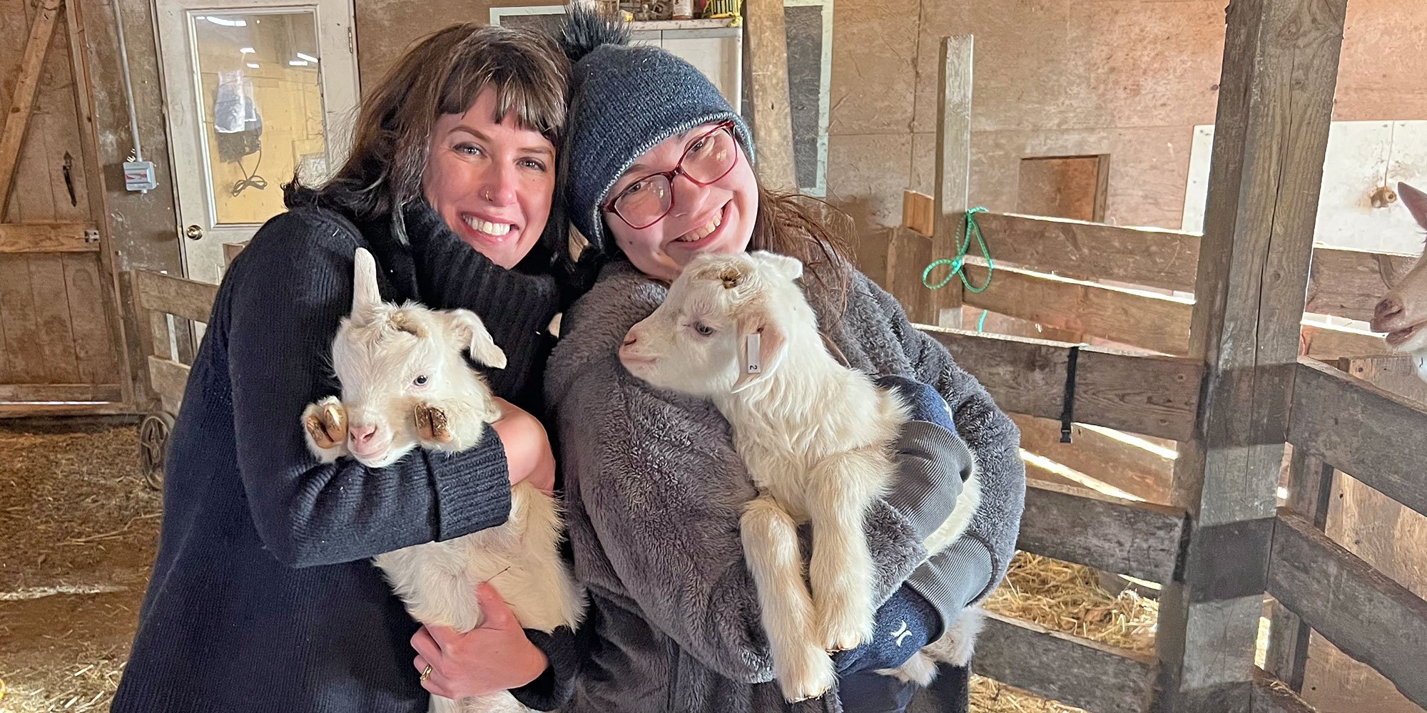 Olympia Farm: Snuggly Goats and Wooly Hydroponics | Farm & Fiber Knits