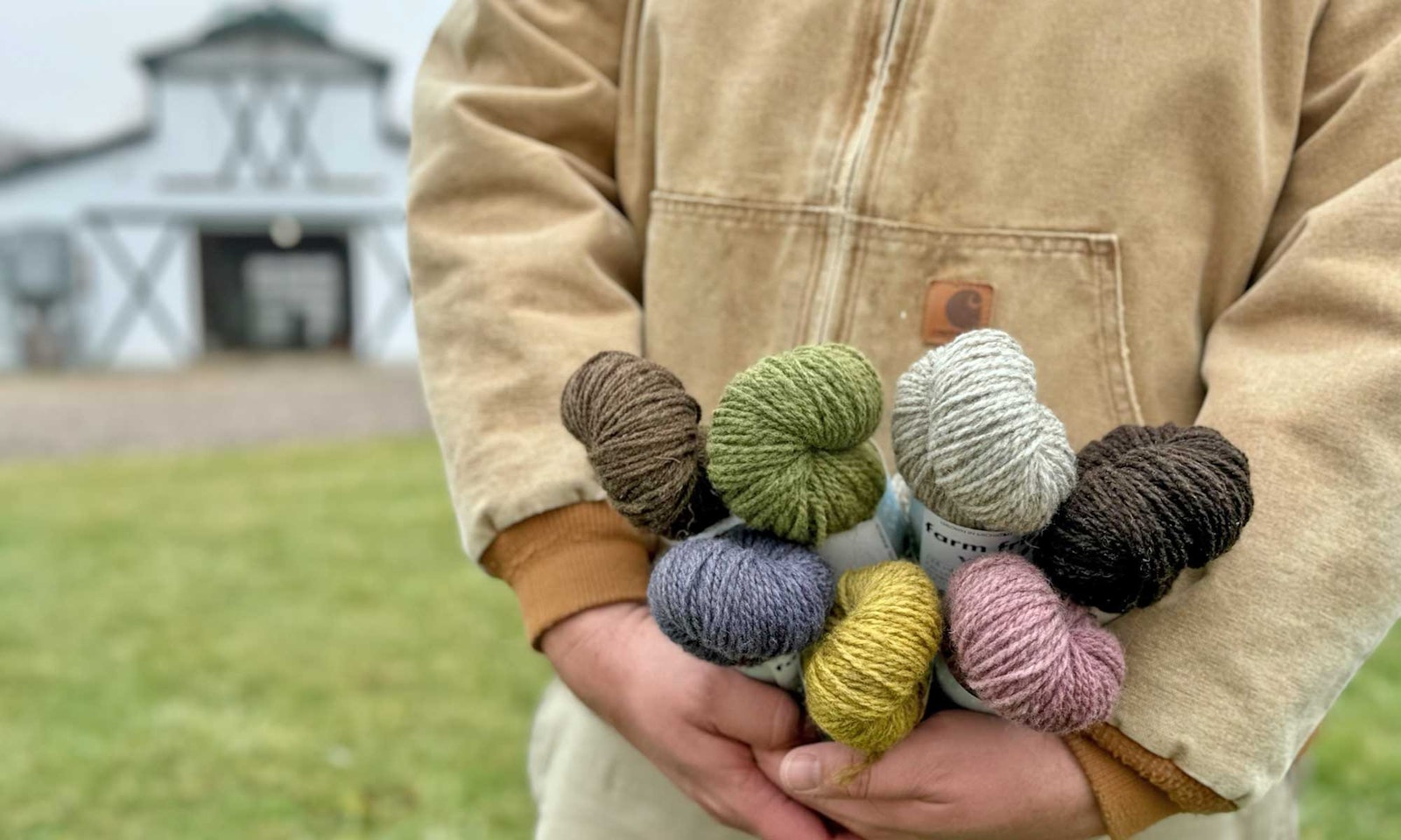 Mitchell Wool Co: Sheep to Skein in Michigan Primary Image