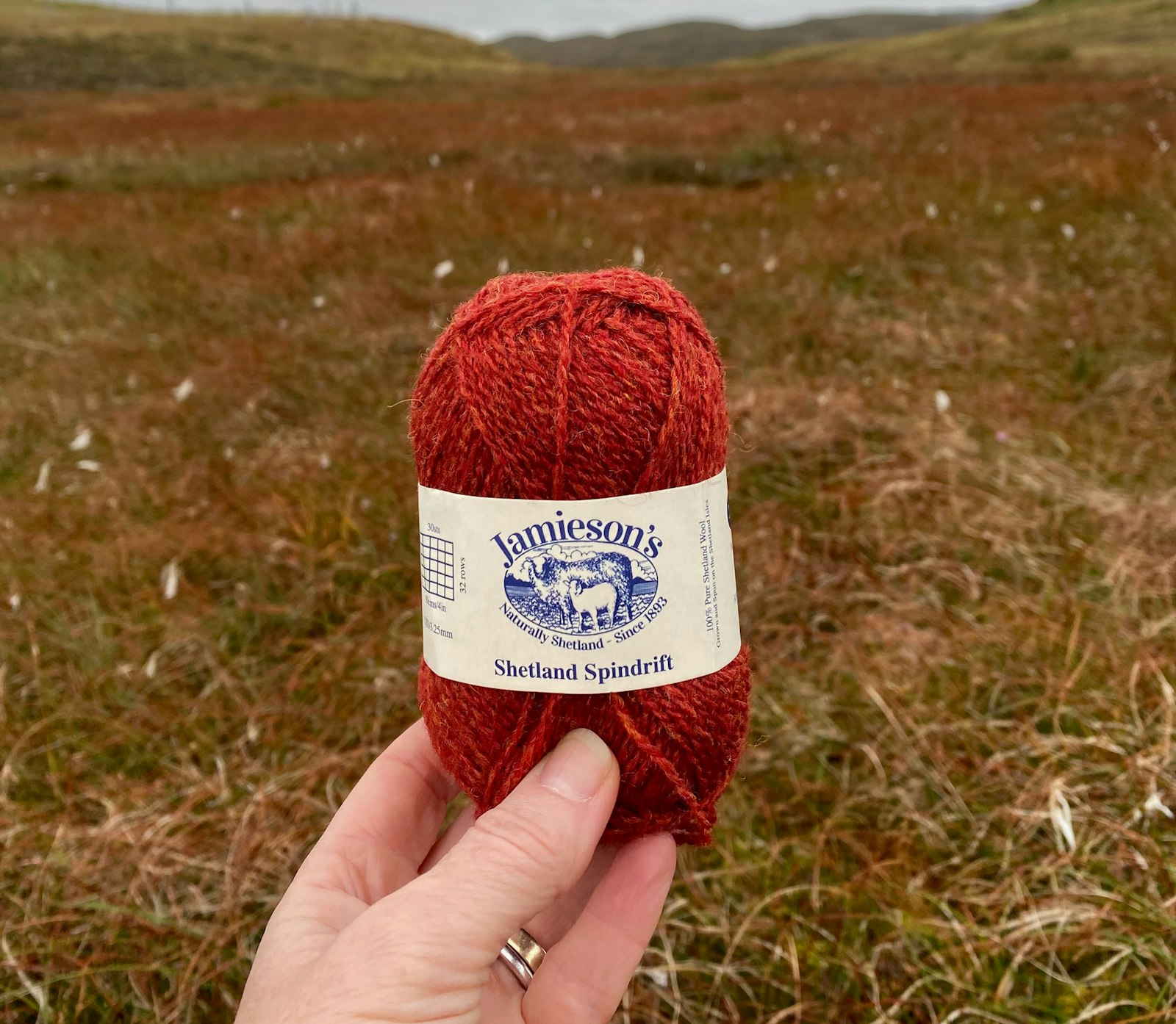 A Custom Colorway, from Autumn Inspiration to Shetland Skein Primary Image