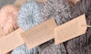 More Than Just Merino: Explore 60+ British Wool Breeds Image