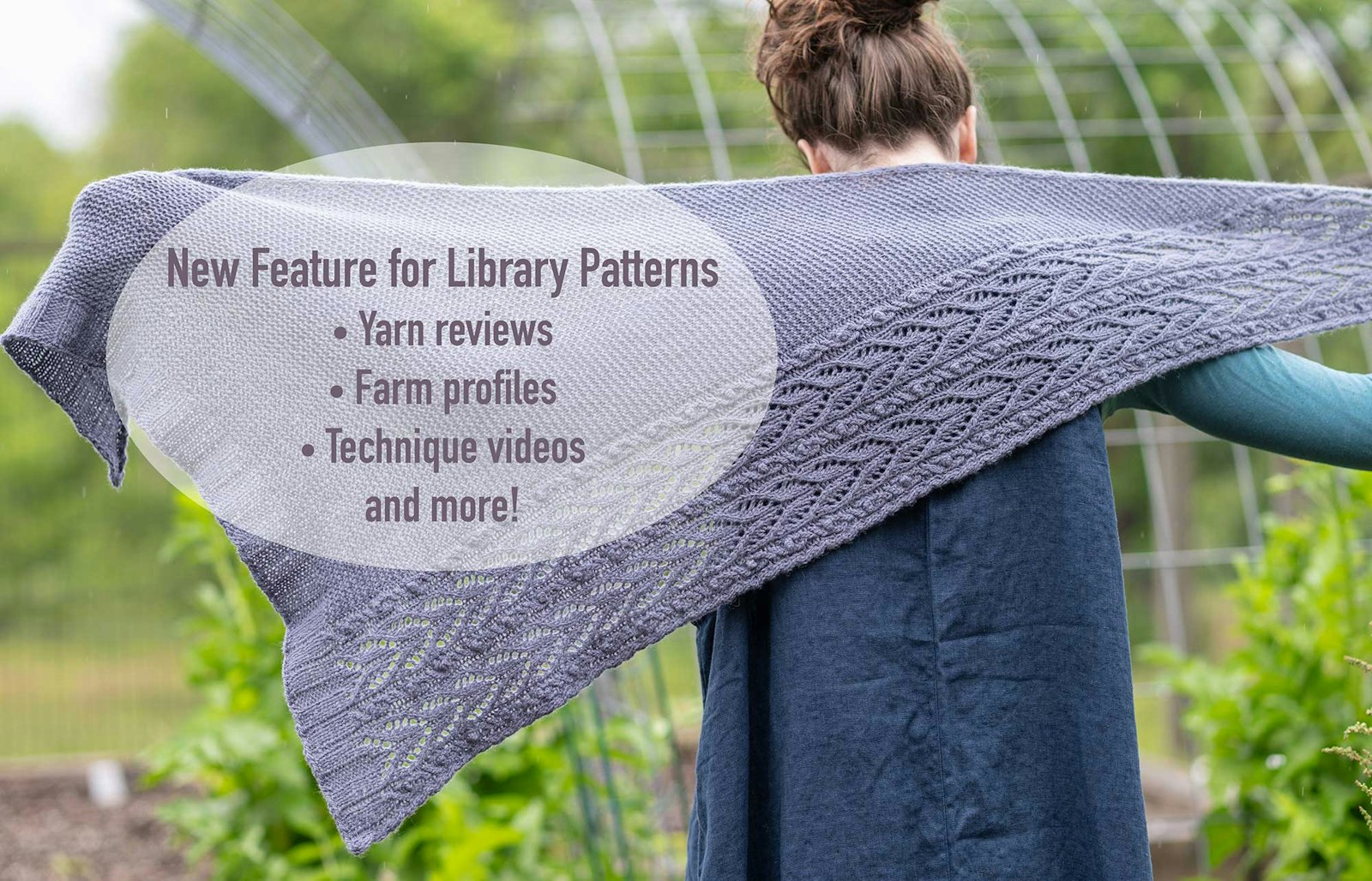 Go Beyond the Pattern: Discover Our New Library Experience Primary Image