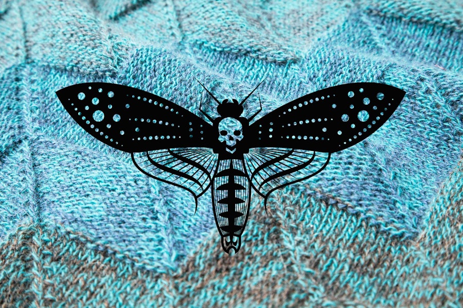 Horror Show: Are There Moths Lurking in Your Stash? Here’s How to Check. Image