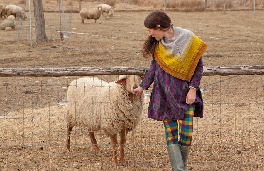 Jill Draper Makes Stuff: Breed-Specific Yarn in the Hudson River Valley Image