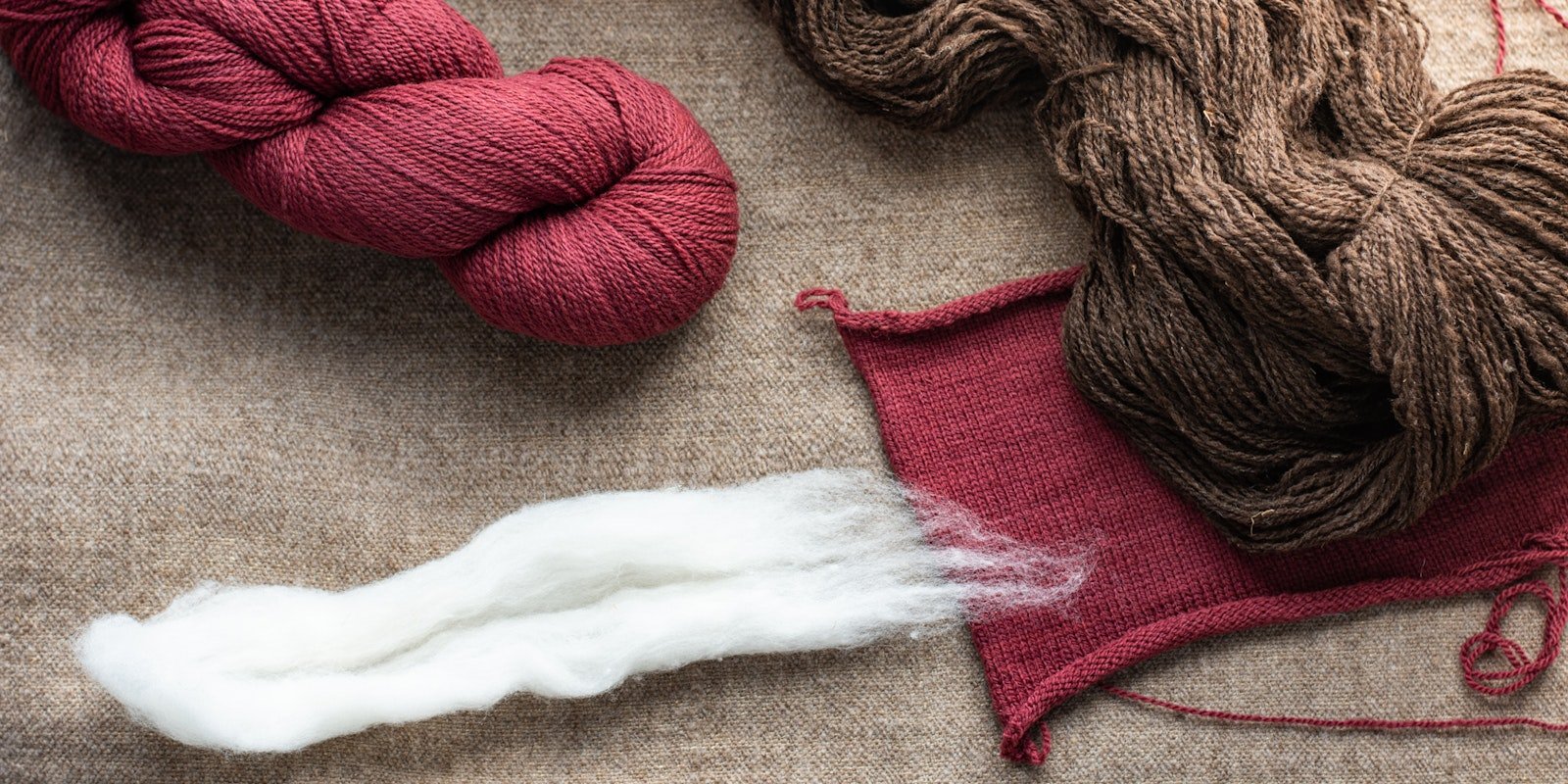 3 Things You Should Know About Cormo Primary Image