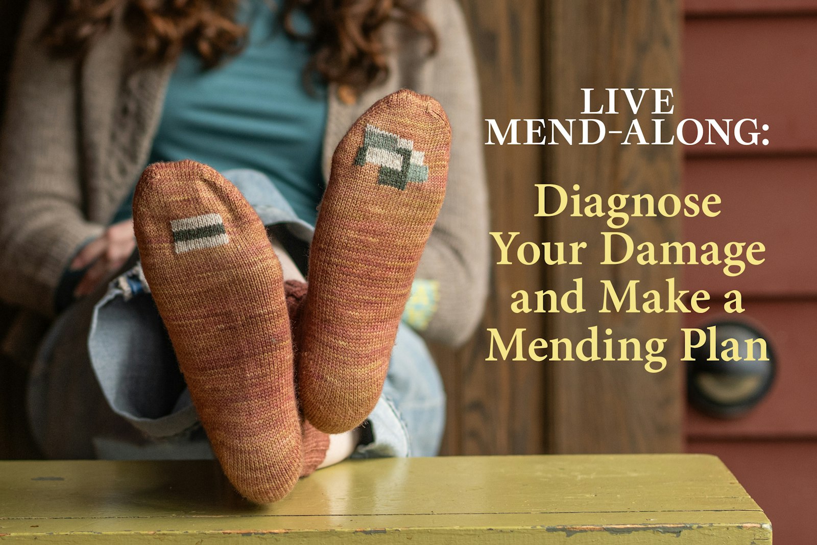 Live Mend-Along: Diagnose Your Damage and Make a Mending Plan Primary Image