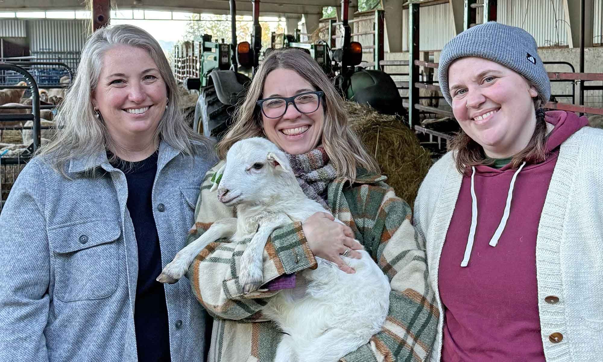 Avondale Sheep: A Breed-Specific Yarn Rooted in the Snoqualmie Valley Image