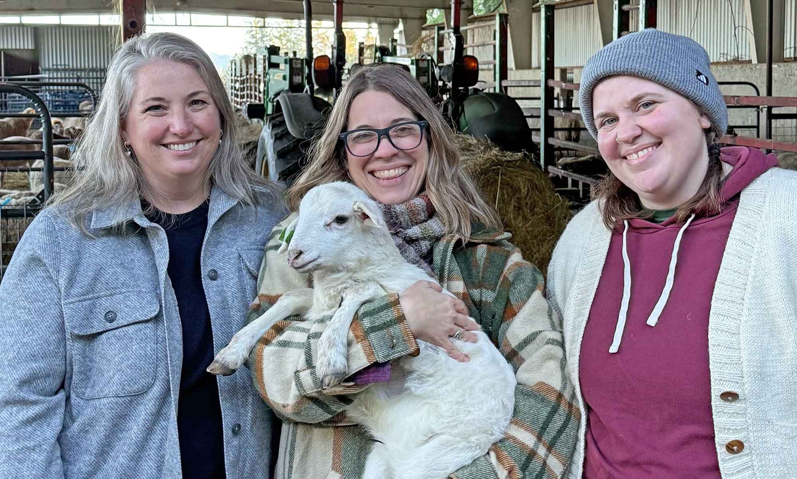 Avondale Sheep: A Breed-Specific Yarn Rooted in the Snoqualmie Valley Primary Image