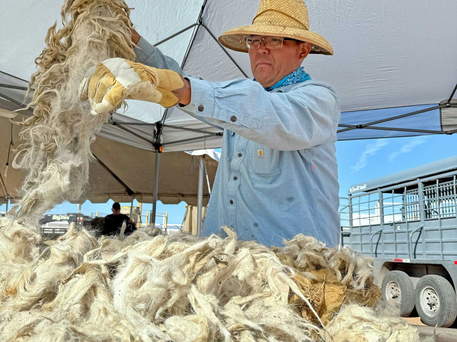 What Is a Wool Buy? Notes from a Diné Shepherd Primary Image