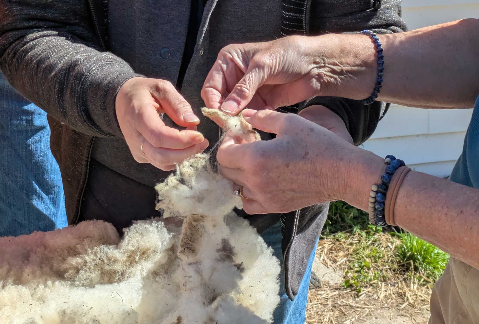 The Ultimate Fiber Lover’s Field Trip Image